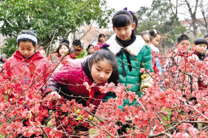 近日，莫愁湖(hú)公园第32届海棠花(huā)会隆重开幕，也同时拉开了第6届海棠小(xiǎo)天使暨青奥小(xiǎo)使者评选以及海棠小(xiǎo)宝贝评选。一百多(duō)种、一万多(duō)株海棠争奇斗艳，将在春天里给市民(mín)带来一场“海棠盛宴”。